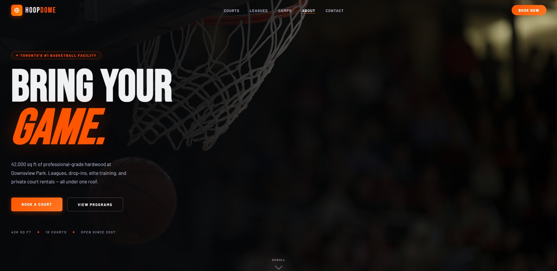 HoopDome site preview